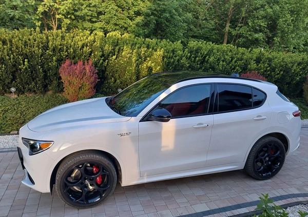 Alfa Romeo Stelvio cena 189000 przebieg: 11000, rok produkcji 2023 z Rzeszów małe 667